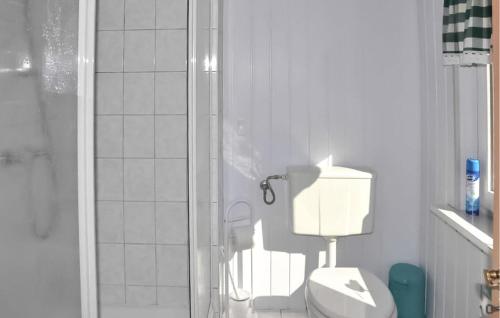 La salle de bains est pourvue d'une douche et de toilettes blanches. dans l'établissement Cozy Home In Stolpe-usedom With Wifi, à Stolpe auf Usedom