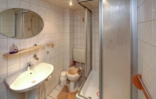 a bathroom with a sink and a toilet and a mirror at Cozy Apartment In Ahlbeck Bei Ueckermnd With Wifi in Ahlbeck