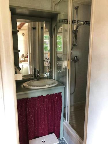 y baño con lavabo y ducha. en Gîte Les Caves aux Fièvres - Maison avec jardin près de Chinon, en Beaumont-en-Véron