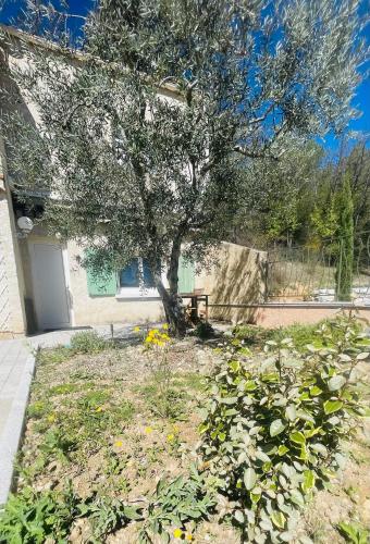 a tree in a yard next to a building at « La Cigale » in Peyruis