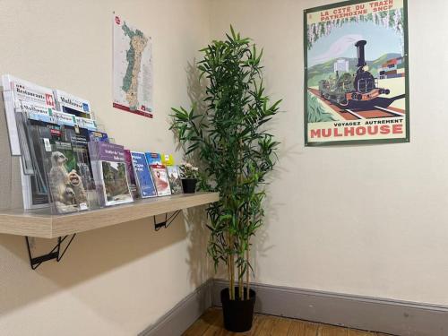 Φωτογραφία από το άλμπουμ του #Herbie1 - Studio Mulhouse - Charme & Confort στη Μιλούζ