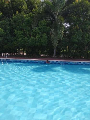 a large blue swimming pool with trees in the background at Al Manzil in General Santos