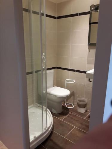 une salle de bain avec toilettes et douche en verre dans l'établissement Chambre Family, à Mur-de-Sologne