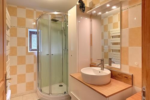 uma casa de banho com um lavatório e um chuveiro em La Perle de Xonrupt - Appt vue montagne em Xonrupt-Longemer
