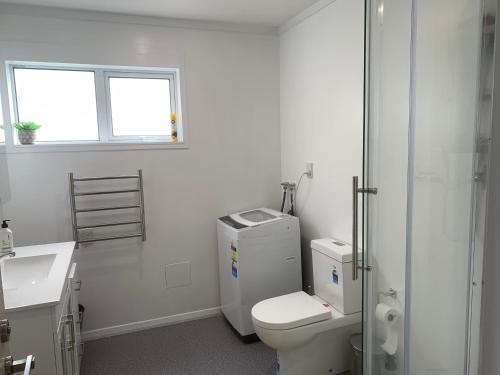 ein Bad mit einem WC, einem Waschbecken und einem Fenster in der Unterkunft Sunny holiday home Wellington in Wellington