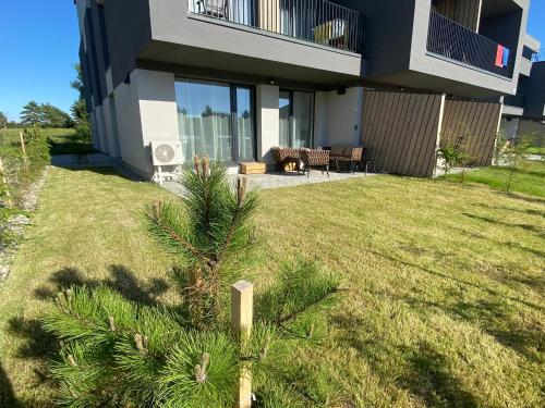 a house with a palm tree in the yard at Laiminga banga in Palanga