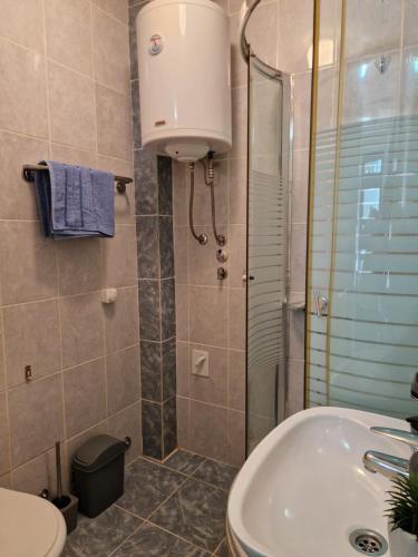 ein Bad mit einer Dusche, einem Waschbecken und einem WC in der Unterkunft Apartman Merkur in Vrnjačka Banja