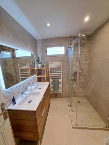 une salle de bain avec lavabo et douche dans l'établissement L'écureuil parisien Maison de charme avec jardin proche Paris, à Cormeilles-en-Parisis