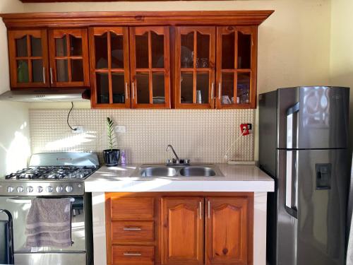 cocina con armarios de madera y nevera de acero inoxidable en ApartaHotel El Bonao en Higuey