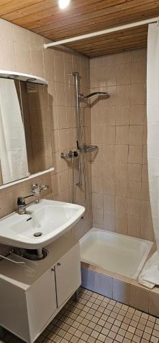 a bathroom with a sink and a shower and a tub at Garden Eden in Freienbach