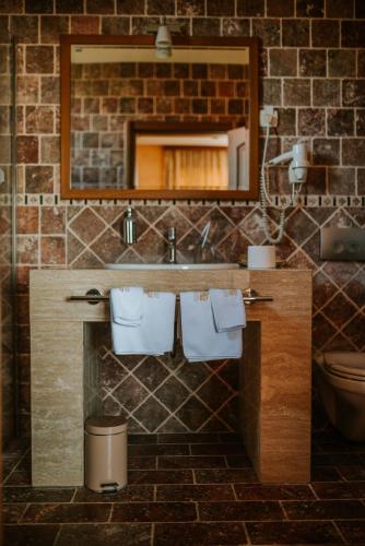 a bathroom with a sink and a mirror and a toilet at Vinska kuca Kovacevic in Irig