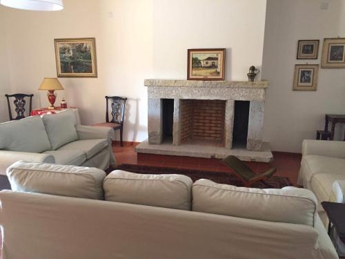 a living room with a couch and a fireplace at Casa do Alfaro in Azambuja