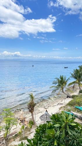 a beach with palm trees and the ocean at Whale Fantasy in Santander