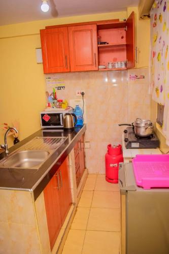 Il comprend une petite cuisine équipée d'un évier et d'une cuisinière. dans l'établissement KIsumu Cozy One bedroom Apartment, à Kisumu