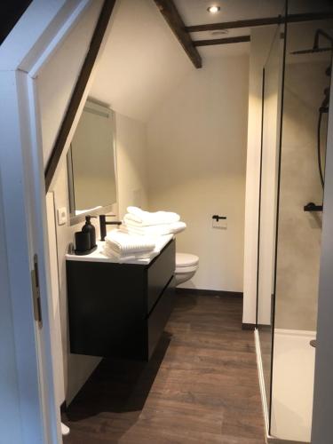 een badkamer met een wastafel, een toilet en een spiegel bij De Pelgrim in Tongeren