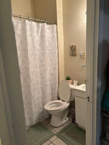 a bathroom with a toilet and a shower curtain at Eclipse Quick Stay in Erie