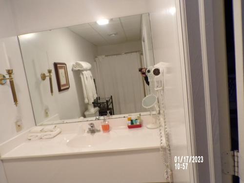 a bathroom with a sink and a large mirror at Longhouse Manor B&B in Watkins Glen