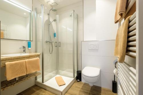 a bathroom with a shower and a toilet and a sink at Landhaus Alte Scheune in Frankfurt
