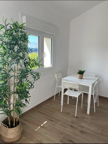 a white dining room with a table and a plant at Miniloft Baiona COM I in Baiona