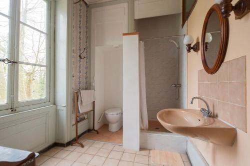 uma casa de banho com um lavatório, um WC e um espelho. em Château Monvallon em Charentay