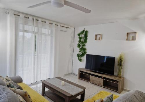 TV a/nebo společenská místnost v ubytování Maison cosy en pleine nature