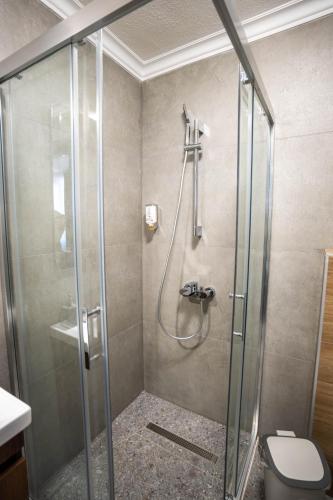 a shower stall in a bathroom with a toilet at Velkov Apartments in Vinica
