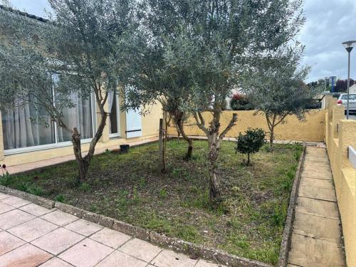 a group of trees in front of a building at Le cocon d'Ali in Langon