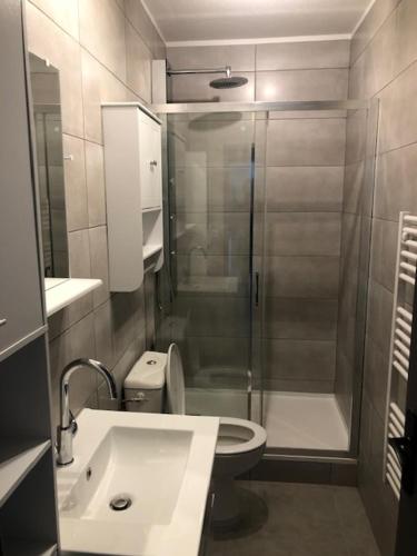 La salle de bains est pourvue d'une douche, de toilettes et d'un lavabo. dans l'établissement Meublés déco Fab - Tapas, à Luxeuil-les-Bains