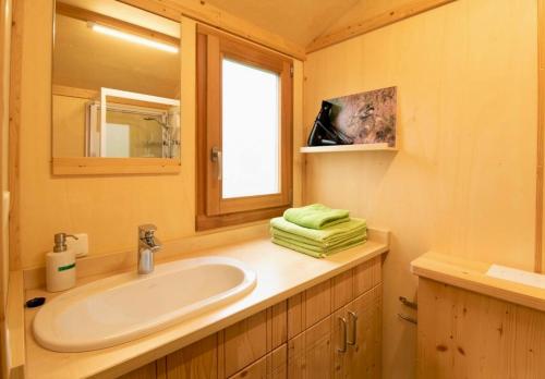 a bathroom with a sink and a mirror and a window at Wagenburg-Solling in Neuhaus