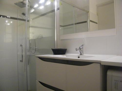 une salle de bain avec un lavabo et une douche dans l'établissement Apartment Villa HenriIV, à Nice
