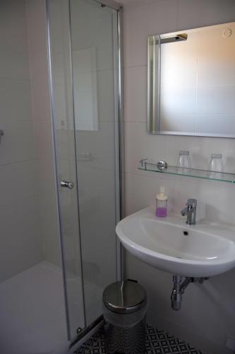 a bathroom with a sink and a glass shower at Penzion Betty in Okounov