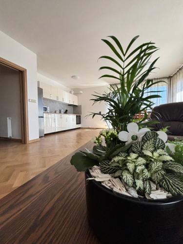 una sala de estar con una gran plantadora con plantas. en Parkside Apartments Praha, en Praga