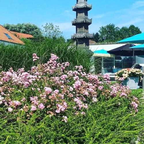 a bunch of pink flowers in front of a building at Familie & Vriendenwoning met fantastisch uitzicht in Ellezelles