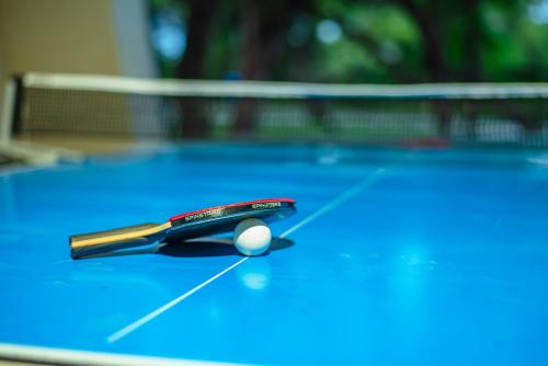 a ping pong paddle and a ball on a pool table at Breathtaking Roof Pool Views, Gameroom, Firepit in San Antonio