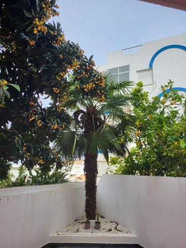 Κήπος έξω από το HostelCCPortimão