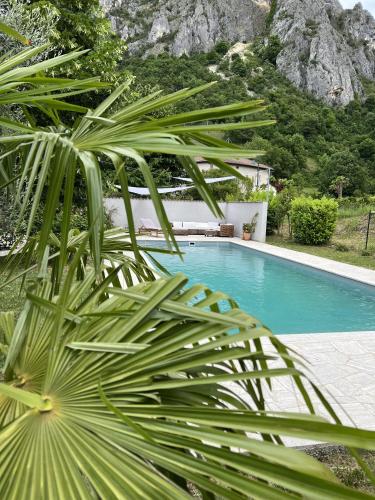 un palmier en face d'une piscine dans l'établissement Maison avec vue sur le Vercors, à Beauregard-Baret