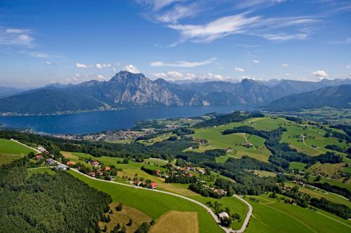an aerial view of a valley with a lake and mountains at Apartmenthotel 's Mitterndorf in Traunkirchen