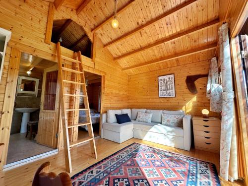 a living room with a ladder in a wooden cabin at Chalet Pitu - 17801 in Piedrahita