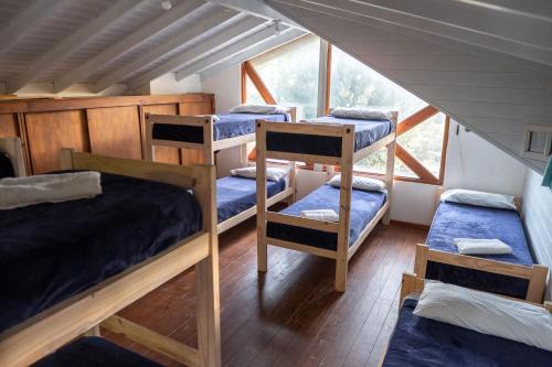 Habitación con 4 literas en una cabaña en Wood Side Hostel en Mar del Plata
