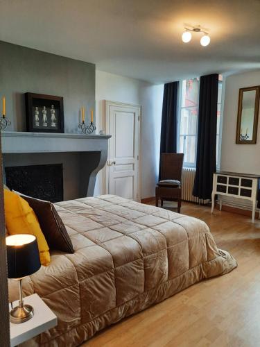 - une chambre avec un grand lit et une cheminée dans l'établissement Appartement vieille ville, à Verdun-sur-Meuse