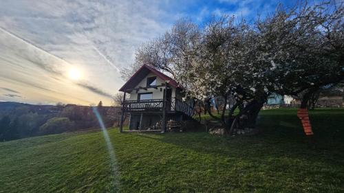 a house on top of a hill with a tree at Casa rustica in Braşov