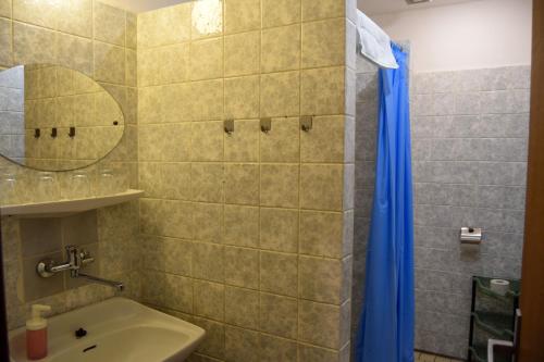 a bathroom with a sink and a shower at Penzion Betty in Okounov