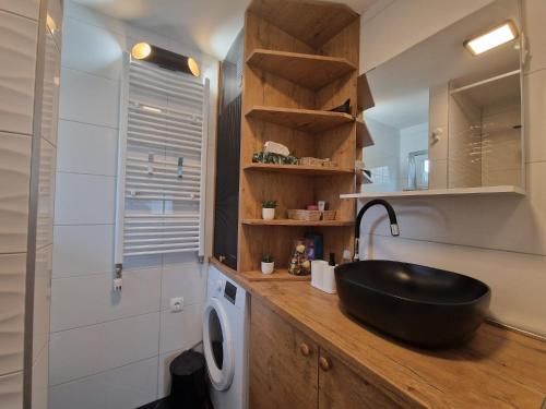 a bathroom with a sink and a washing machine at Studio apartman Marica - Ogulin, Hrvatska in Ogulin
