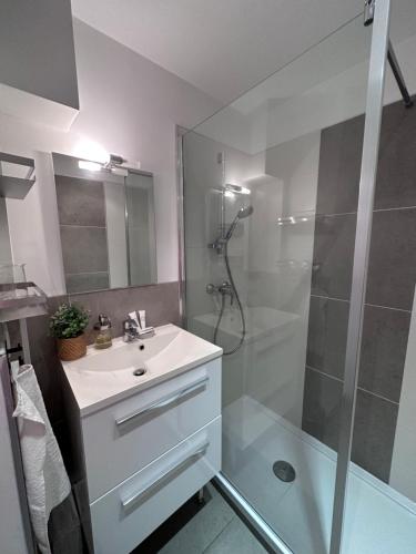 une salle de bain avec une douche et un lavabo et une cabine de douche en verre dans l'établissement Antibes, tout à vos pieds, à Antibes