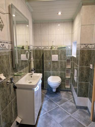 a bathroom with a toilet and a sink at Ferienwohnung Am Öpitzer Berg in Pößneck
