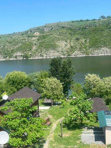 an aerial view of a lake with trees and houses at Family House in Makarovka