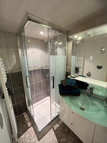 a bathroom with a glass shower and a sink at Appartement indépendant à 500 mètres de la mer in Saint-Gildas-de-Rhuys