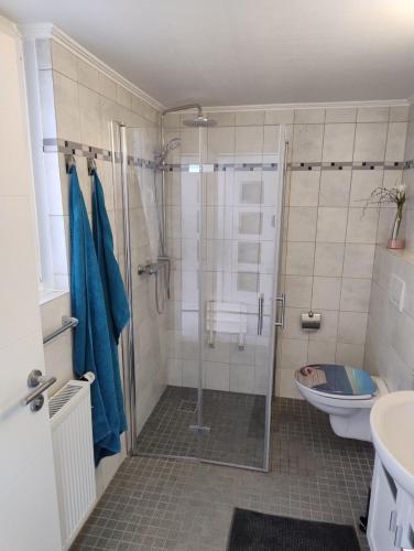 a bathroom with a shower and a toilet at LaPurka III Garten in Nordhorn