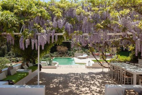 a garden with purple wisteria hanging over a pool at Dimora Dei Semplici in Cisternino