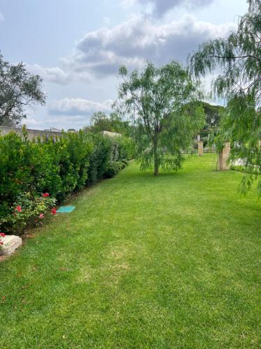 a green yard with a tree and some bushes at Villa Anna - Suites & Events in Specchia